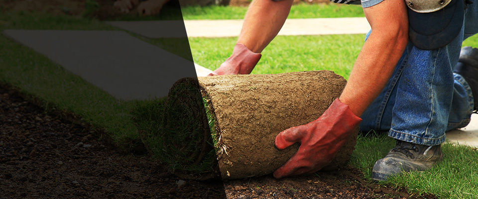 North Carolina Landscapers